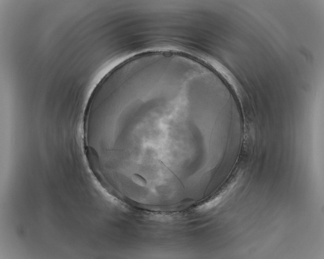 X0000113250951200910011343