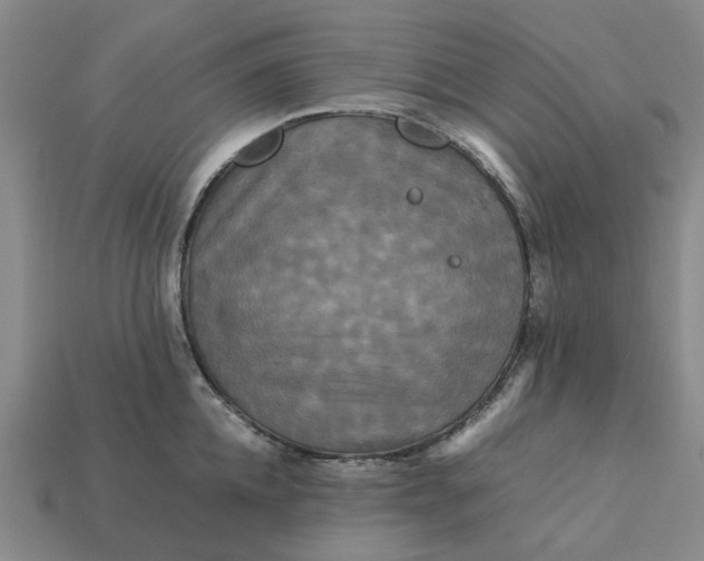 X0000113250952200910011343