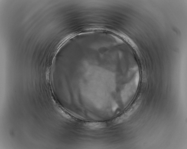 X0000113250953200910011343