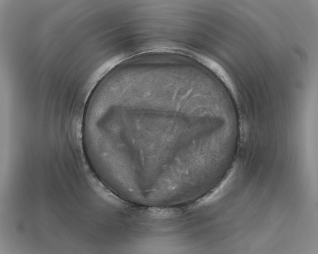 X0000113250954200910011343