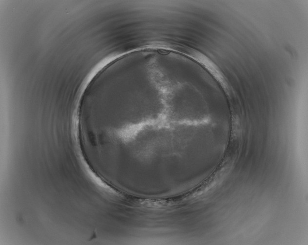 X0000113250955200910011343