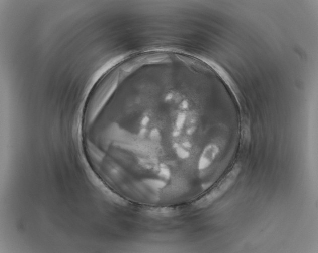 X0000113250957200910011343