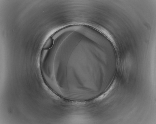 X0000113250958200910011343