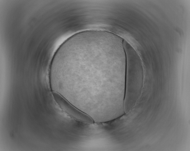 X0000113250960200910011344