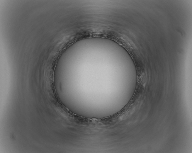 X0000113250961200910011343