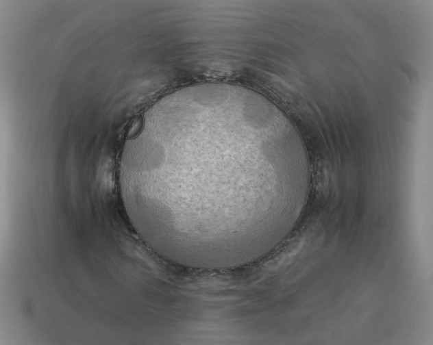 X0000113250962200910011343