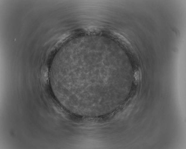 X0000113250963200910011343