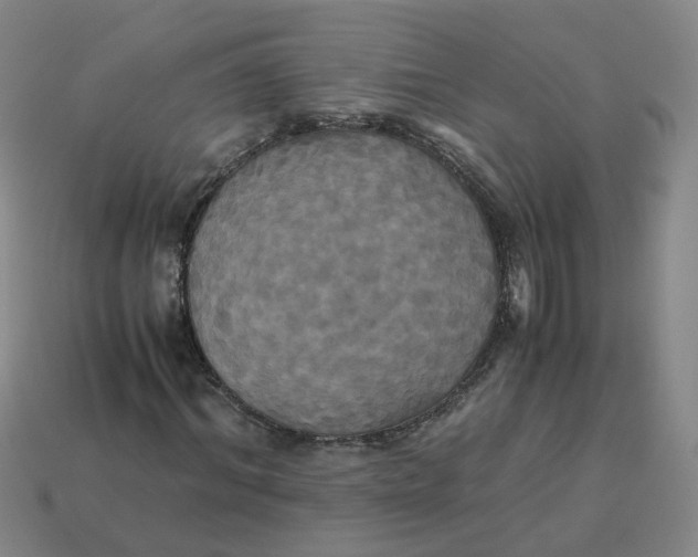 X0000113250964200910011343