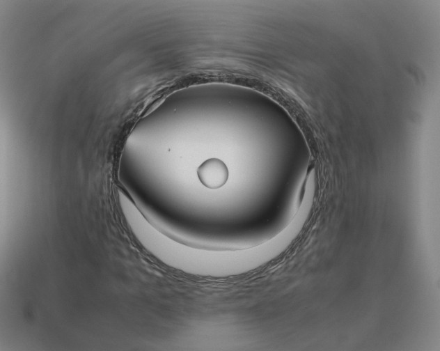 X0000113250965200910011343