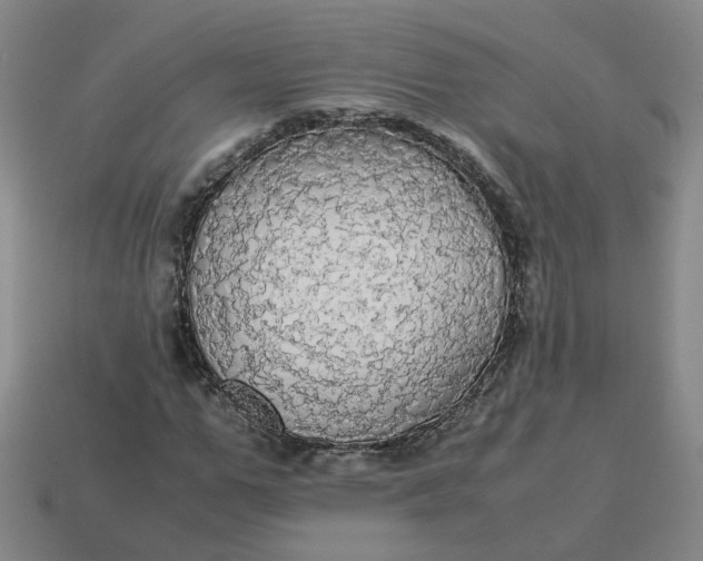 X0000113250967200910011343