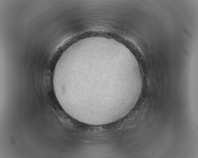 X0000113250968200910011343