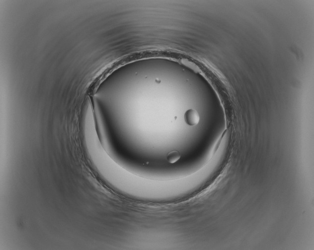 X0000113250969200910011343