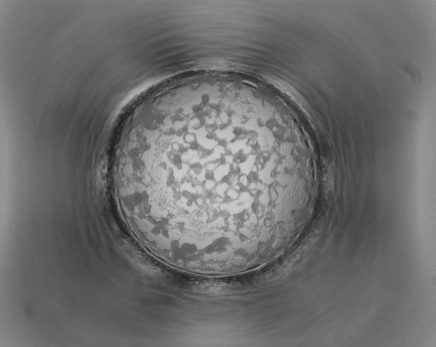 X0000113250971200910011343