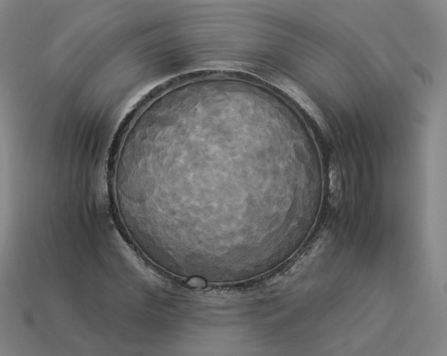 X0000113250972200910011343