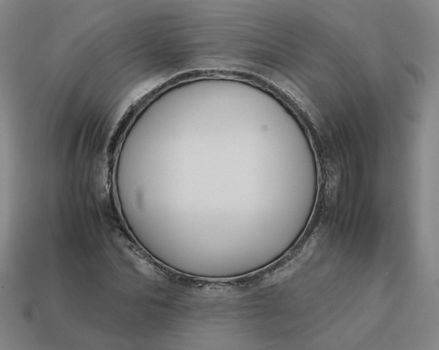 X0000113250974200910011343