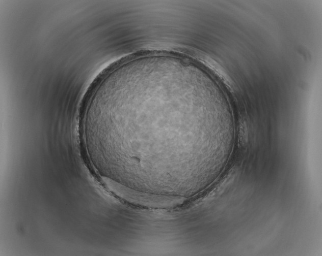 X0000113250976200910011343