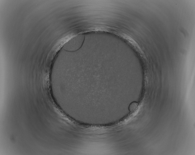 X0000113250977200910011343