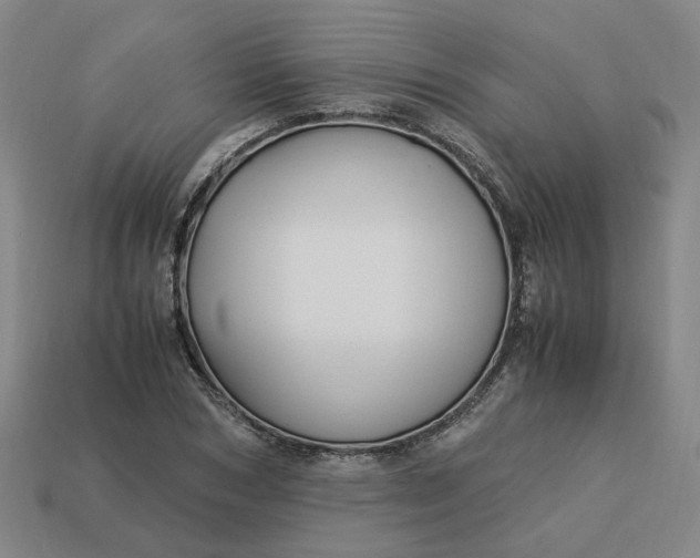 X0000113250978200910011342