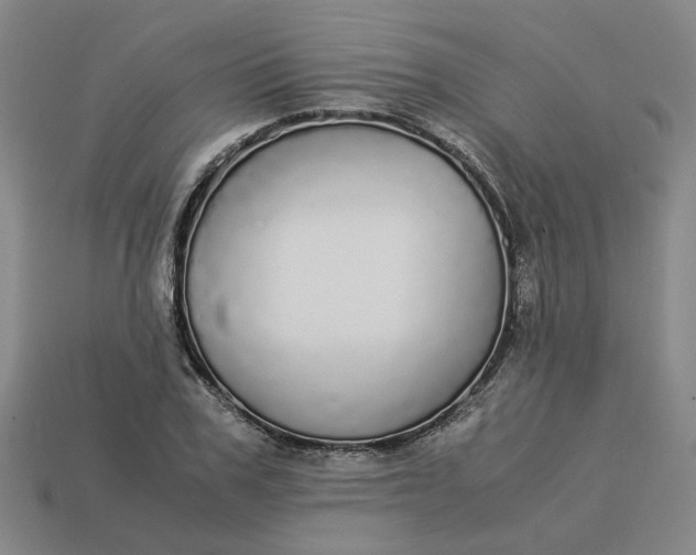 X0000113250979200910011342