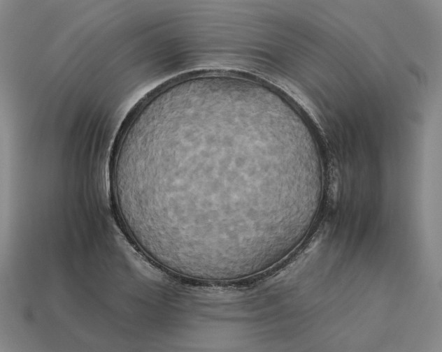 X0000113250980200910011342