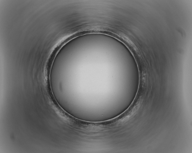 X0000113250981200910011342