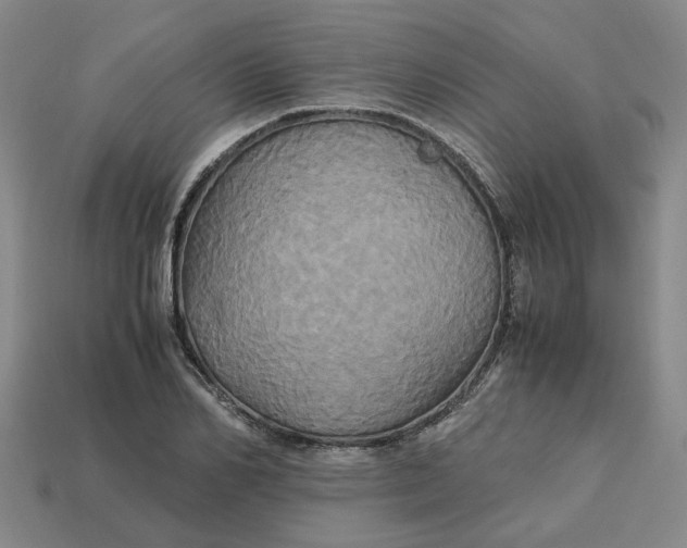 X0000113250982200910011342