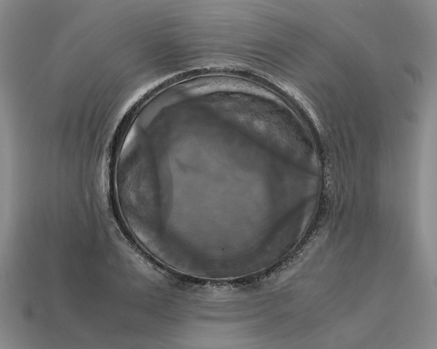 X0000113250983200910011342