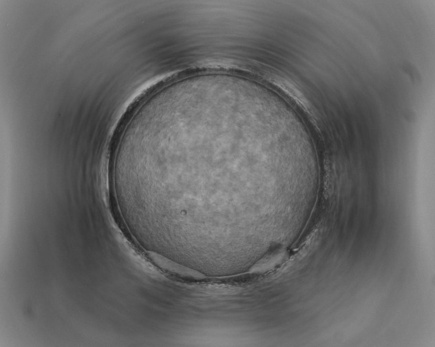 X0000113250984200910011342