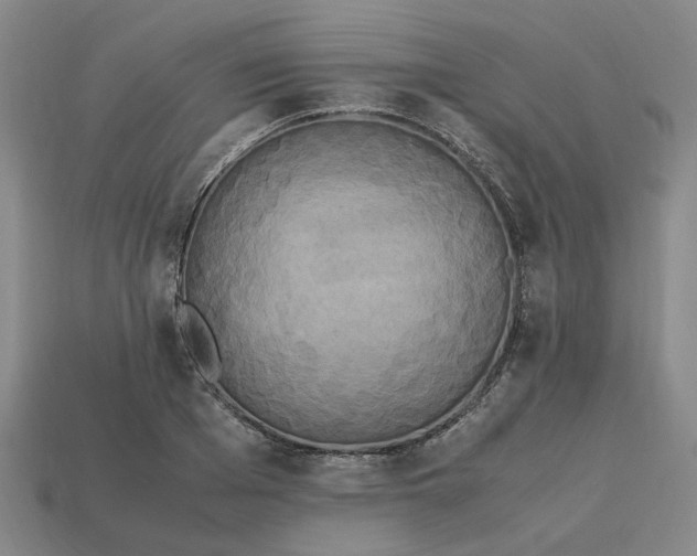 X0000113250985200910011342