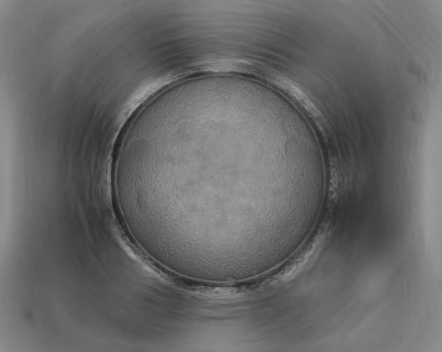 X0000113250986200910011342