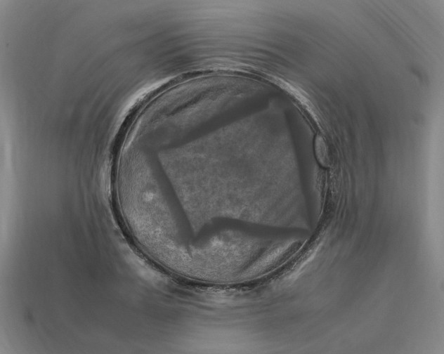 X0000113250987200910011342