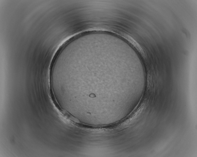 X0000113250988200910011342