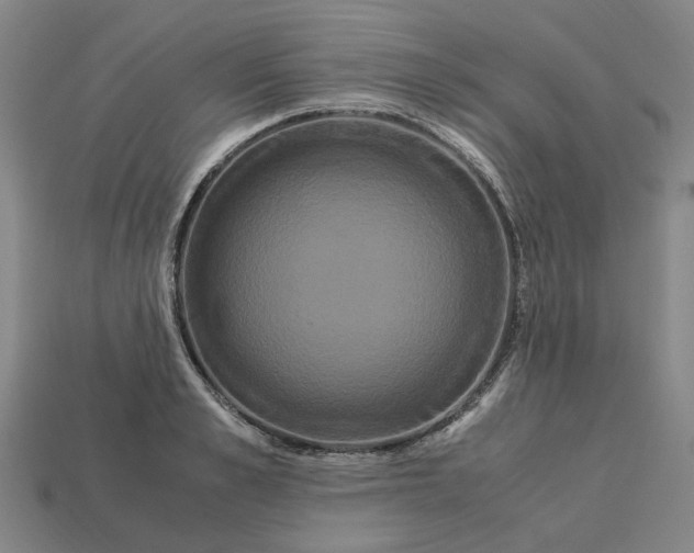 X0000113250989200910011342