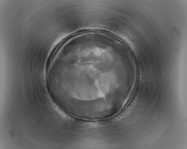 X0000113250990200910011342