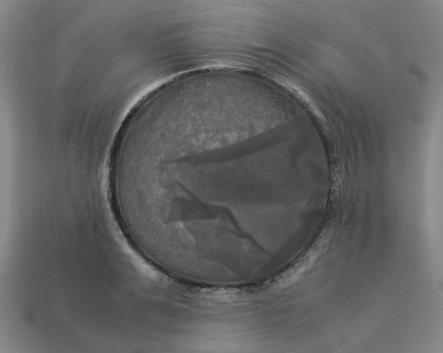 X0000113250991200910011342