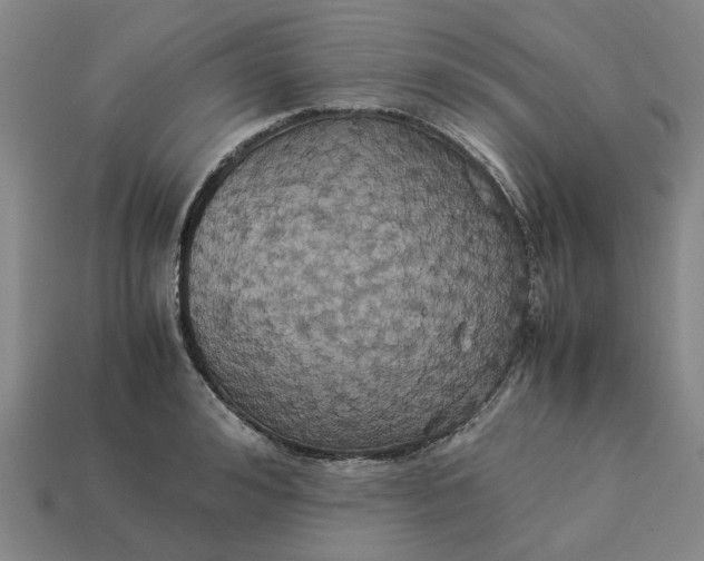 X0000113250992200910011342