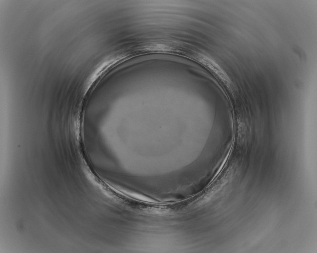 X0000113250994200910011342