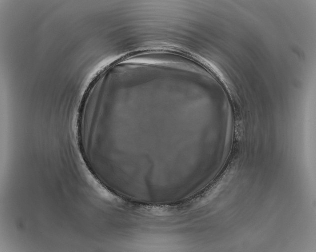 X0000113250995200910011342