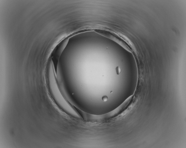 X0000113250997200910011342