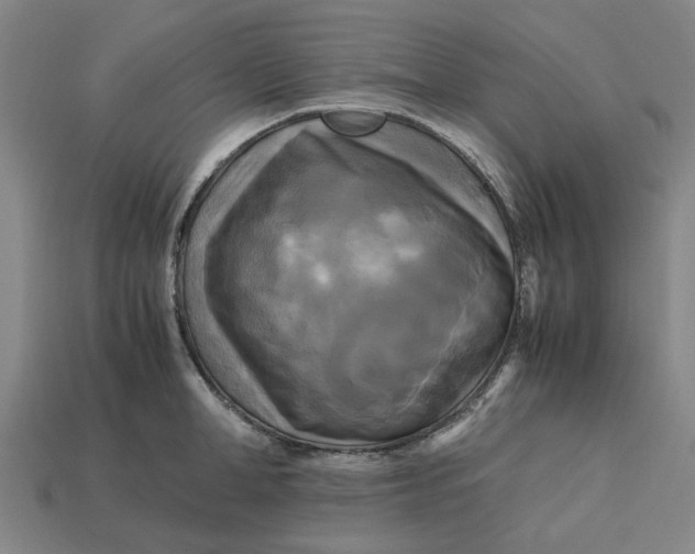 X0000113250998200910011342