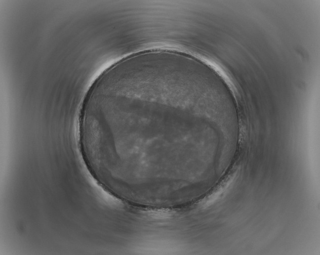 X0000113250999200910011342