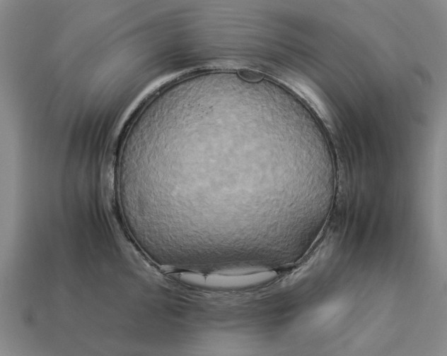 X0000113251000200910011342