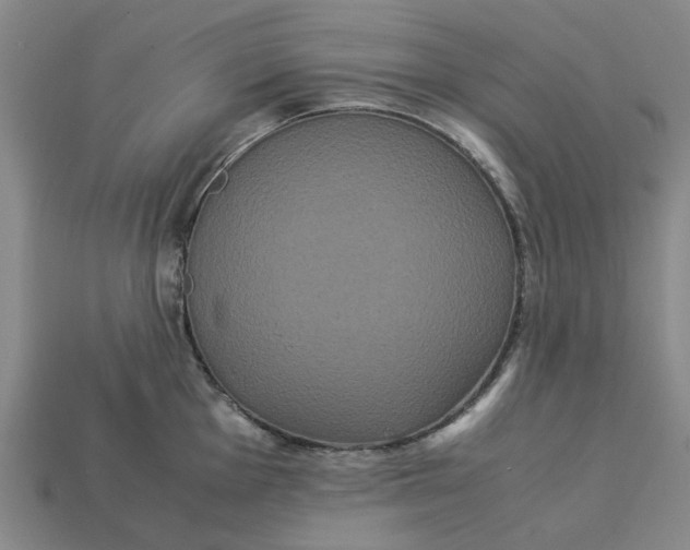 X0000113251001200910011342