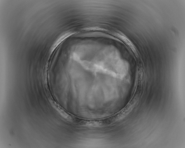 X0000113251002200910011342