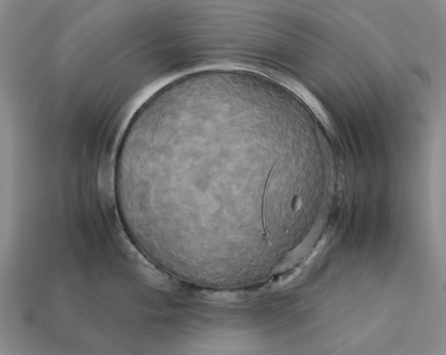 X0000113251004200910011342