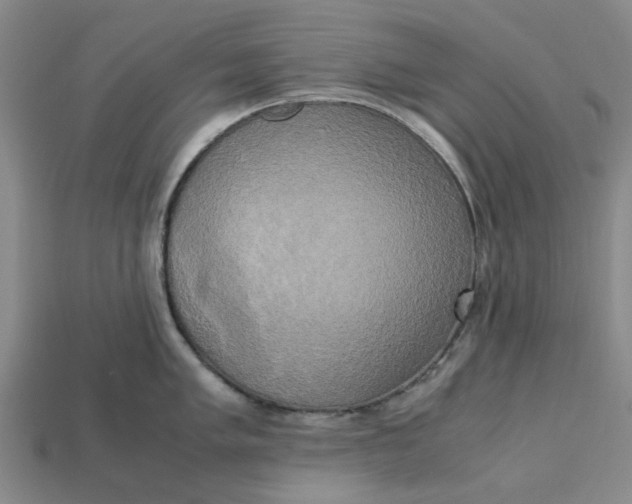 X0000113251005200910011342