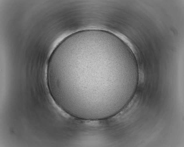 X0000113251006200910011342