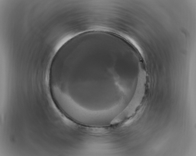 X0000113251007200910011342