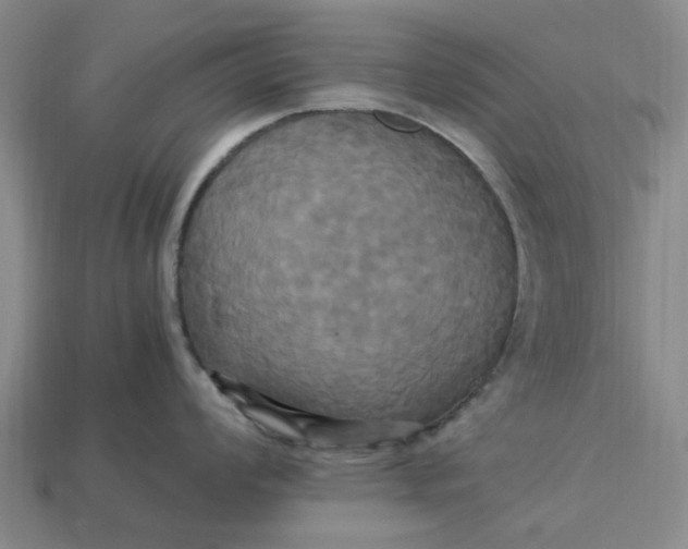 X0000113251008200910011342