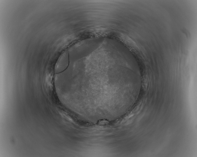 X0000113251010200910011342